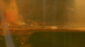 雞肉、鹽、料酒入冷水鍋水開后撇去浮沫，溫水洗凈。