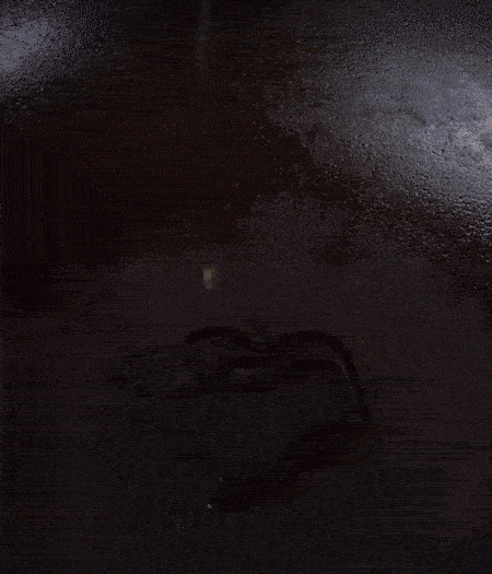 冷鍋熱油，下蒜片爆香，下香腸、玉米筍、蓮藕、西芹爆炒，期間加點水，翻炒1分鐘后加新鮮百合片，翻炒30秒。